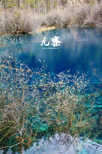 像素排球大作战