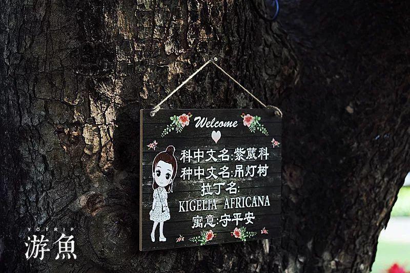 年货零食选什么?金丝猴麦丽素开启温馨甜蜜新一年!