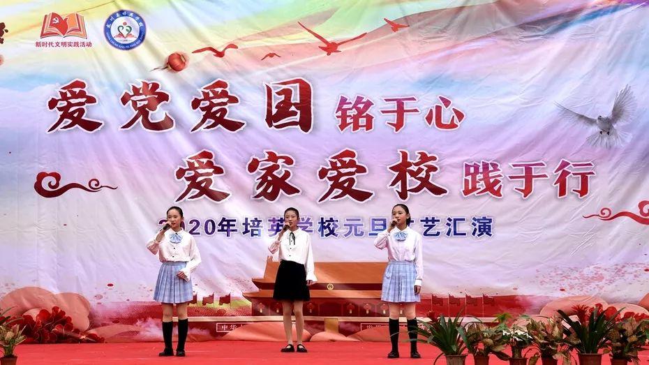组装机械章鱼龙